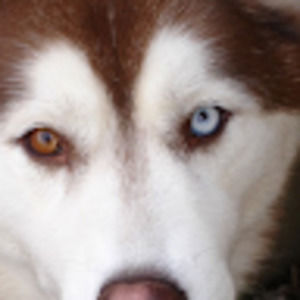 Meet your Posher, Sherry